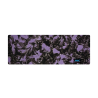 Purple Fantasy - 0193FA - Acetate strip 6mm