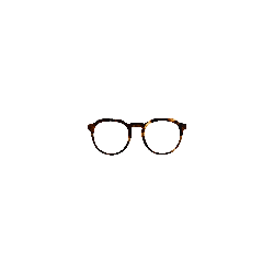 Brown Fantasy - 0111FA - Acetate temples