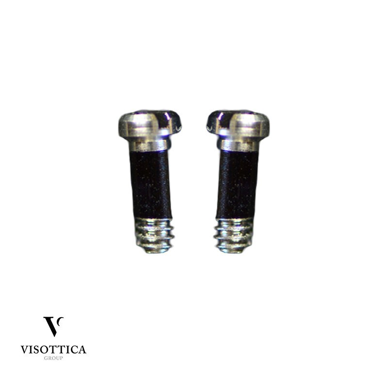 Screws for C9 hinges (VISO 1) - 10 pairs