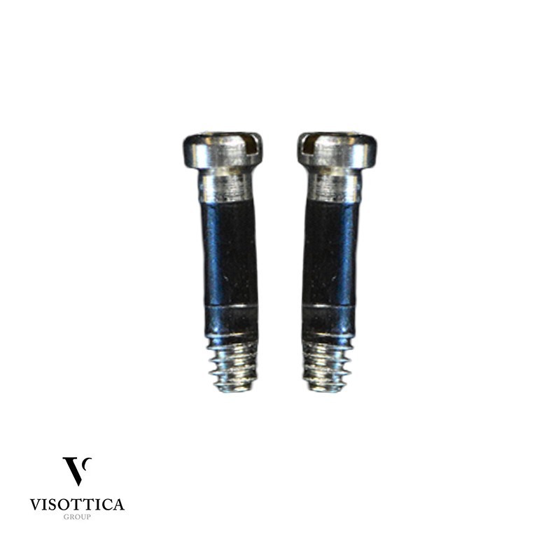 Screws For Riveting Hinges - 100 pairs