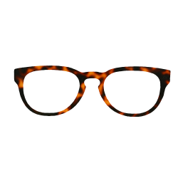 Brown Scale - 0007EC - Acetate strip 4mm