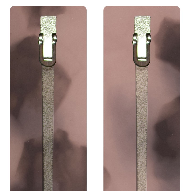 Pink Scale - 0158EC - Acetate temples