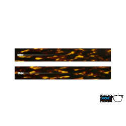 Orange Scale - 0161EC - Acetate temples