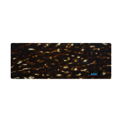 Ecaille Bleue - 0163EC - Acétate labo 4mm