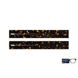 Orange Scale - 0171EC - Acetate temples