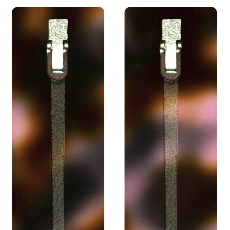 Pink Scale - 0175EC - Acetate temples