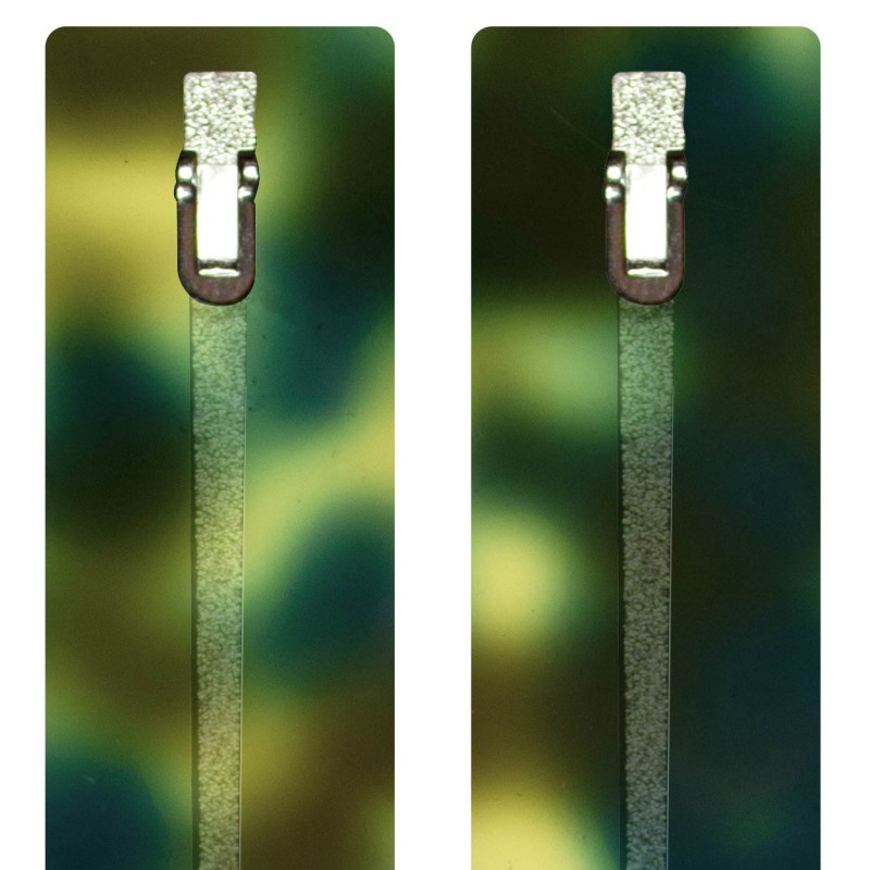 Green Scale - 0177EC - Acetate temples